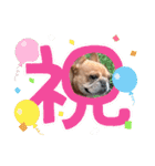 フレブルスタンプ16（個別スタンプ：4）