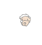 ゆるころっトイプー（個別スタンプ：7）