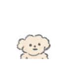 ゆるころっトイプー（個別スタンプ：24）