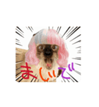 お酒とネコ好きな日常会話 49（個別スタンプ：3）