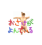 お酒とネコ好きな日常会話 49（個別スタンプ：5）