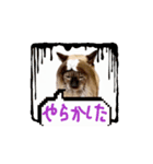 お酒とネコ好きな日常会話 49（個別スタンプ：14）