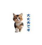 元気に動く子ねこたち（個別スタンプ：5）