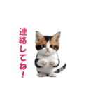 元気に動く子ねこたち（個別スタンプ：8）