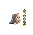 元気に動く子ねこたち（個別スタンプ：10）