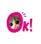メルメルのLINEスタンプ（個別スタンプ：2）