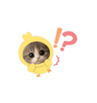 メルメルのLINEスタンプ（個別スタンプ：6）