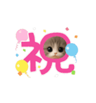 メルメルのLINEスタンプ（個別スタンプ：8）