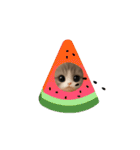 メルメルのLINEスタンプ（個別スタンプ：11）