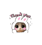 メルメルのLINEスタンプ（個別スタンプ：13）