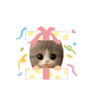 メルメルのLINEスタンプ（個別スタンプ：16）