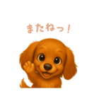 ミニチュアダックスフンド【日本語】（個別スタンプ：16）