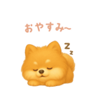 ポメラニアンスタンプ【日本語】（個別スタンプ：4）