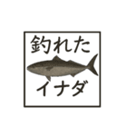 何が釣れた？（個別スタンプ：15）