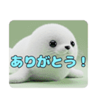 アザラシみなみちゃんセットスタンプ（個別スタンプ：2）