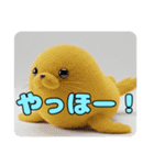 アザラシみなみちゃんセットスタンプ（個別スタンプ：30）
