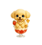 チワプー.（個別スタンプ：19）