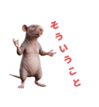 毎日可愛いハダカデバネズミ（個別スタンプ：4）