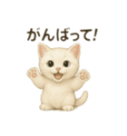 沢山の白猫ちゃん 文字無しあり 日本語（個別スタンプ：2）