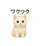 沢山の白猫ちゃん 文字無しあり 日本語（個別スタンプ：4）