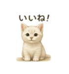 沢山の白猫ちゃん 文字無しあり 日本語（個別スタンプ：6）