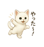 沢山の白猫ちゃん 文字無しあり 日本語（個別スタンプ：17）