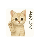 沢山の白猫ちゃん 文字無しあり 日本語（個別スタンプ：18）