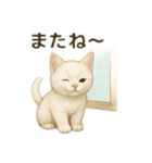 沢山の白猫ちゃん 文字無しあり 日本語（個別スタンプ：20）