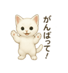 沢山の白猫ちゃん 文字無しあり 日本語（個別スタンプ：21）