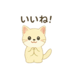 沢山の白猫ちゃん 文字無しあり 日本語（個別スタンプ：23）