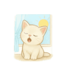 沢山の白猫ちゃん 文字無しあり 日本語（個別スタンプ：24）