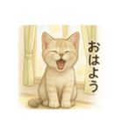 沢山の白猫ちゃん 文字無しあり 日本語（個別スタンプ：26）