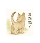 沢山の白猫ちゃん 文字無しあり 日本語（個別スタンプ：27）