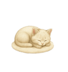 沢山の白猫ちゃん 文字無しあり 日本語（個別スタンプ：31）