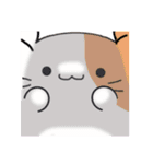 ねこ3の"弱肉•狂•食"フルスタンプ‼︎‼︎（個別スタンプ：24）