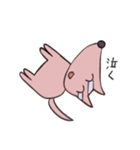 ワンチャン、犬（個別スタンプ：7）