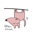ワンチャン、犬（個別スタンプ：10）