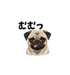 犬からの一言。（個別スタンプ：3）