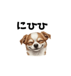 犬からの一言。（個別スタンプ：5）