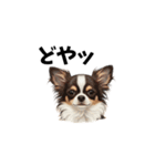 犬からの一言。（個別スタンプ：11）