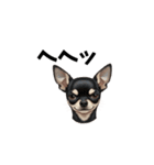 犬からの一言。（個別スタンプ：12）