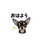 犬からの一言。（個別スタンプ：15）