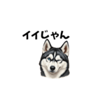 犬からの一言。（個別スタンプ：20）