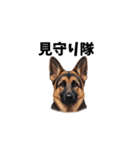犬からの一言。（個別スタンプ：21）