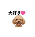 犬からの一言。（個別スタンプ：22）