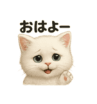 自信なさげなこねこのふわ猫スタンプ（個別スタンプ：1）