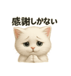 自信なさげなこねこのふわ猫スタンプ（個別スタンプ：2）