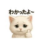自信なさげなこねこのふわ猫スタンプ（個別スタンプ：3）