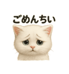 自信なさげなこねこのふわ猫スタンプ（個別スタンプ：5）