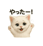 自信なさげなこねこのふわ猫スタンプ（個別スタンプ：8）